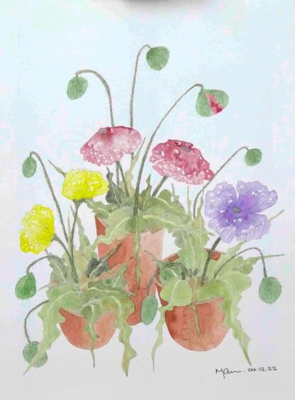 Watercolour painting of Wild Poppies growing on a bank by Irish artist. Buy paintings for your home or office 100% hassle free shopping